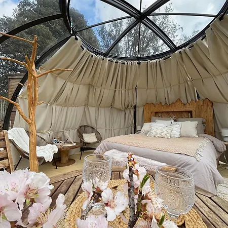 Dome Etoile Vallica